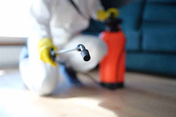 Mold Odor Removal Services in Clancy, MT